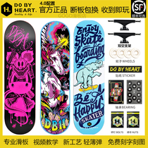 DBH skateboard double-up professional board upgrade adult skills Male and female students beginner novice Skateboard Skateboard
