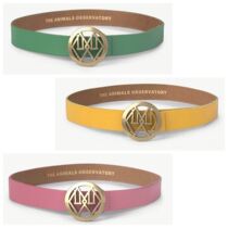 Spot TAO 20 Autumn Winter New Products Children Logo belt