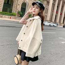 Net red with coat 2019 autumn and winter imitation mink Korean version of womens short autumn loose Joker new short Hong Kong wind chic