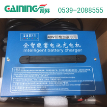 Electric sightseeing car patrol car special lead-acid maintenance-free battery electronic charger 48V24V customized