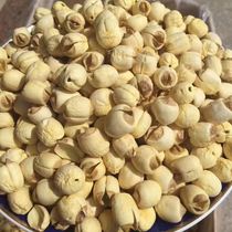 The lotus seed is the tasty lotus seed of that powder in our now-stewed milk miscellaneous grain