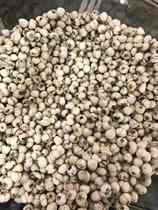 Sichuan Bay 5 gr Almond 5 gr One dress 99