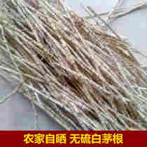 2020 fresh white grass root dry sweet grass root wild thatgrass root white hair root natural herbal tea 500g