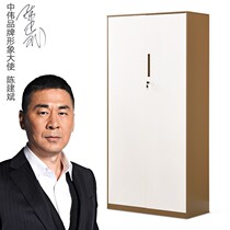 Middle Wei cabinet Tin Cabinet Office Cabinet Steel Sheet Cabinet Information Cabinet file cabinet storage and disassembly cabinet thin side cabinet