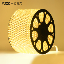 Light strip led 5050 highlight patch living room ceiling light bar decoration background wall double row light with three color light