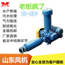 Shandong Jinan three-leaf roots blower Roots blower Roots blower 50-300 oxygenated sewage treatment