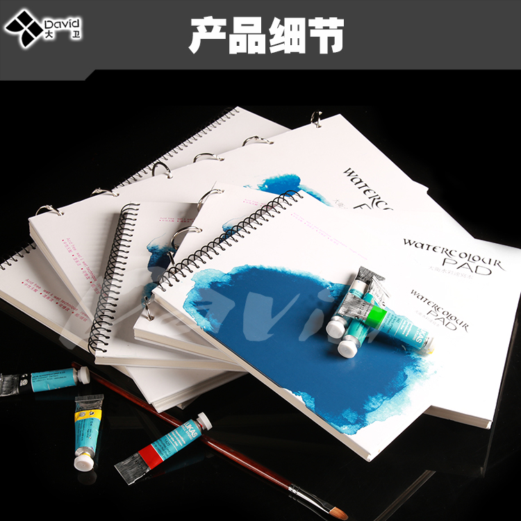 sketchBOOK David 8K16K 30 sketchBOOK David 8K16K 30