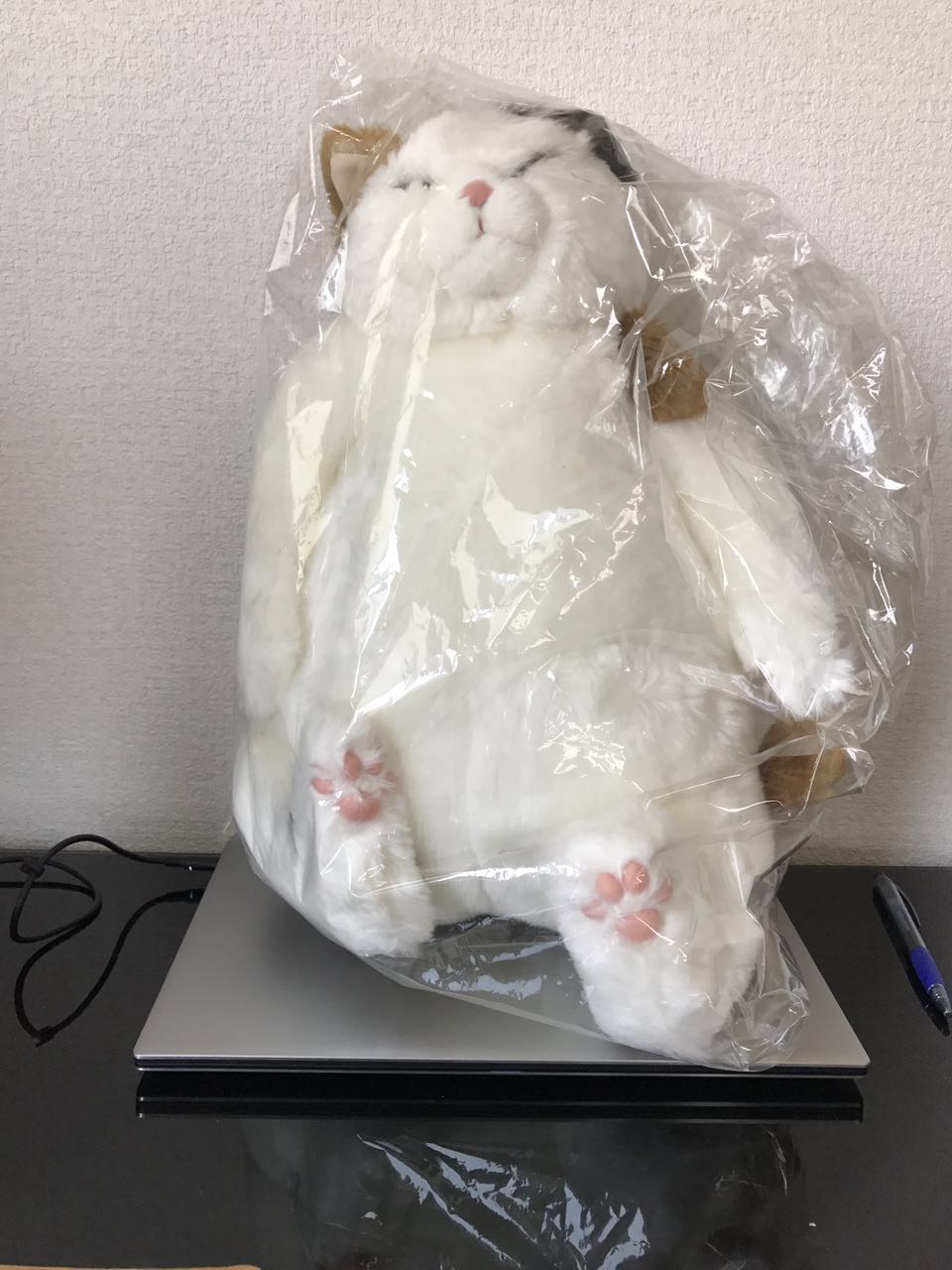 代购 日本直送 cuddly 超萌 玛莉亚(maria)懒散 胖嘟嘟三毛猫 玩偶