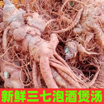 Wenshan fresh 37 - seven soup cooker soup ingredients 1 kg 6 head 8 head 10 head dig 37