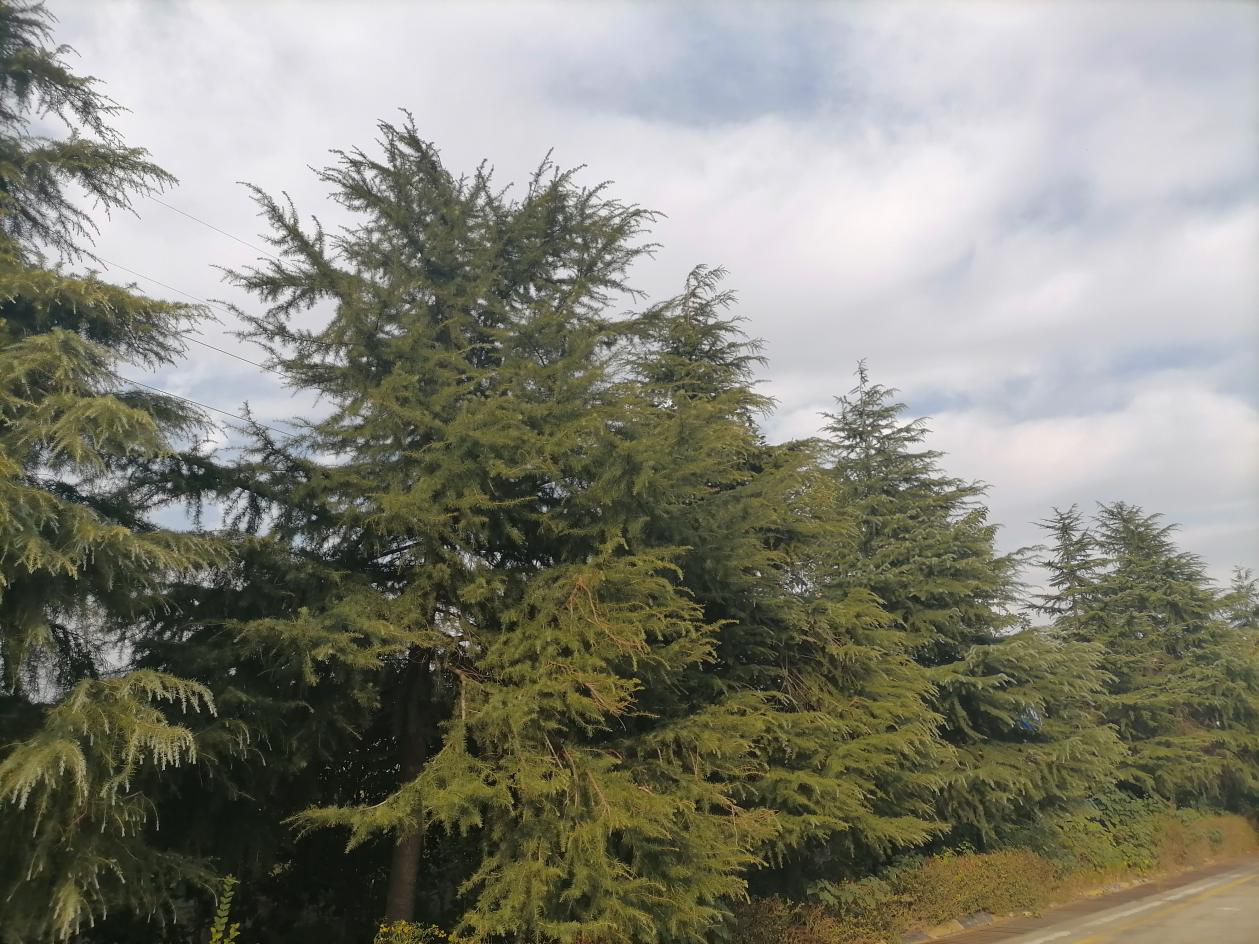 华为畅享10体验:千元堆料王名不虚传