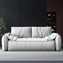 Free-Wash Tech Cloth Sofa Light Lavish Small Family Type Minimalist Modern Living Room 2021 New-Style Fabric Sofa