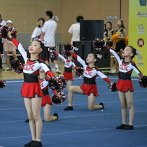 Custom cheerleading competition clothing cheerleading uniform competitive aerobics clothing gymnastics clothing student new product 19 female male