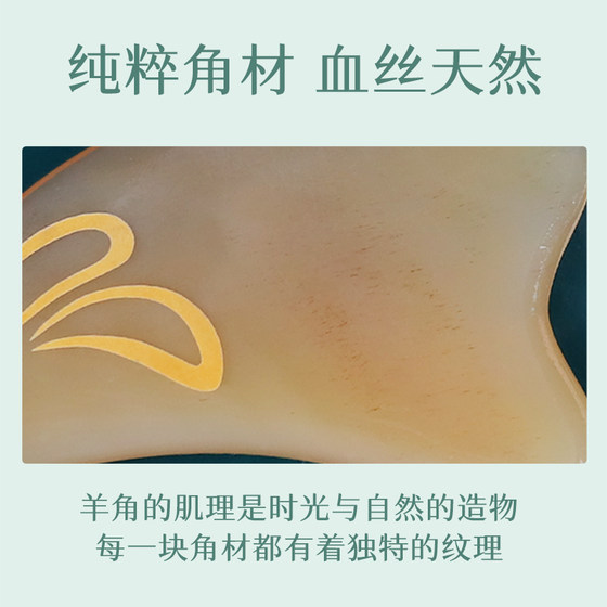 얼굴 특별한 눈 면도 얼굴 리프팅 및 리프팅 스틱을위한 양자리 혼 긁힘 보드 바디 옥 토끼 마사지 보드 얼굴 특별한 눈 면도 얼굴 리프팅 및 리프팅 스틱을위한 양자리 혼 긁힘 보드 바디 옥 토끼 마사지 보드