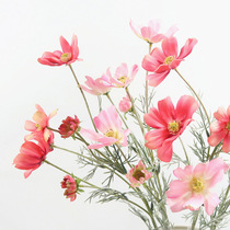 Simulation flower small fresh Persian Chrysanthemum deep pink living room decoration flower ornaments fake flower silk flower modern photography