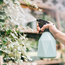 Spray kettle watering flowers fleshy spray bottle gardening small household sprinkler kettle indoor sprayer watering kettle small watering can