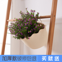 Wall-mounted flowerpot plastic thickened semi-circular hanging flowerpot hanging wall wall green flower pot large delivery adhesive hook