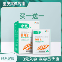 Small Darling Gastrointestinal Precious puppies young kitty Pets Pets Probiotics Prevention Lathin Tummy Conditioning Gut 10 Bag