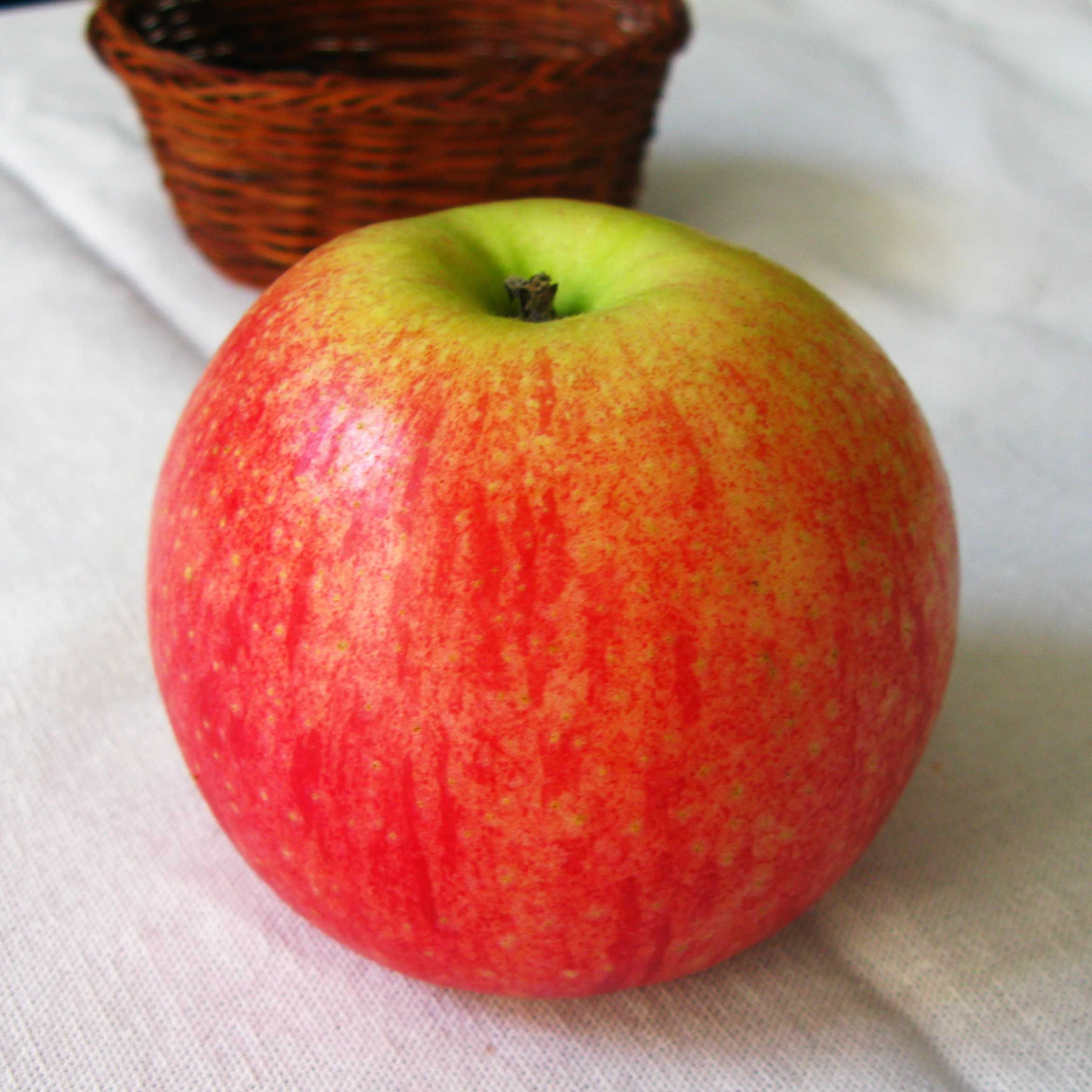 乔纳金苹果新鲜山东烟台苹果酥软糯沙面老人宝宝孕妇吃5斤包邮