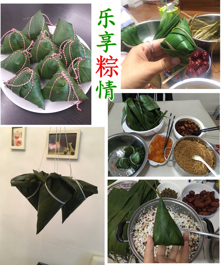 农家粽子叶芦苇叶新鲜野生粽叶纯天然包粽子免邮200片当天现摘发