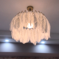 Feather lamp warm romantic bedroom lamp Nordic ins girl lamp modern simple living room lamp decorative Net red chandelier
