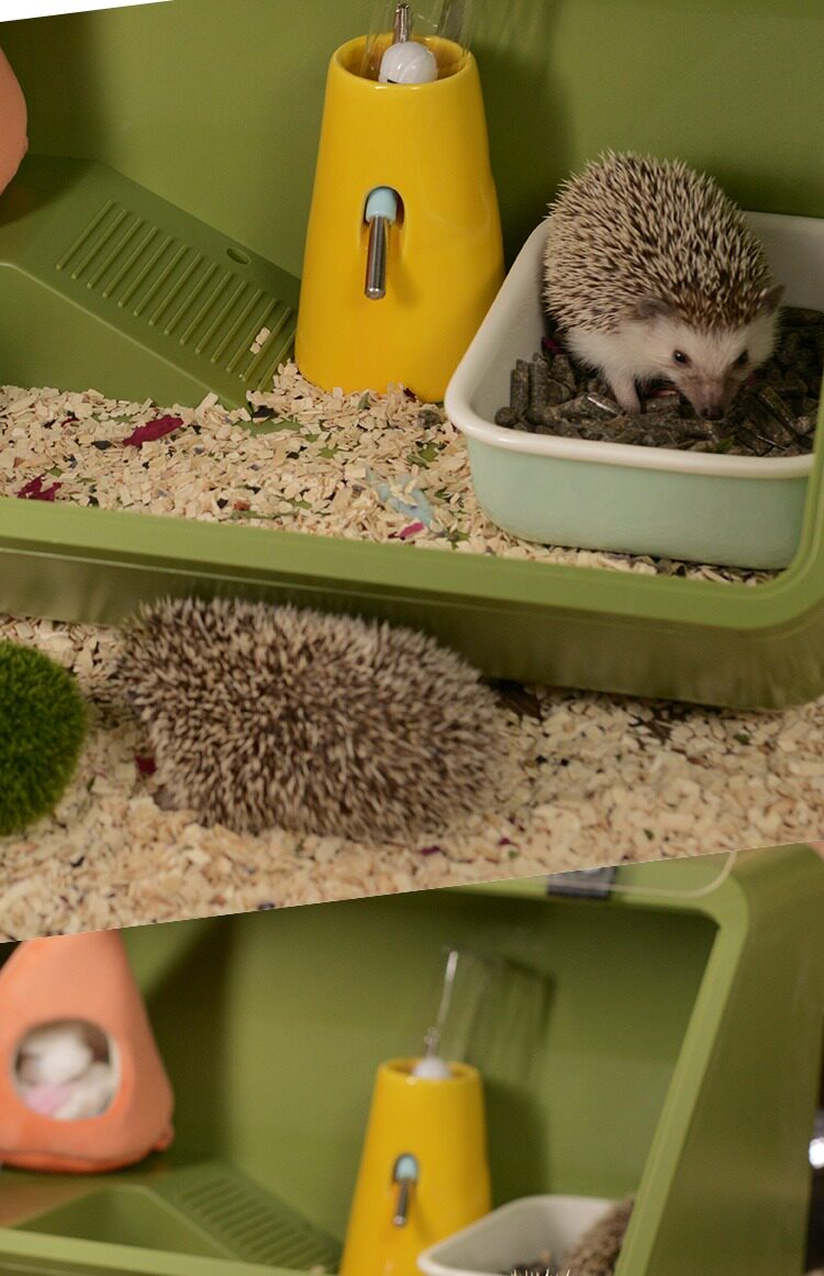 刺猬饲养箱蜜袋鼯笼斜面全景非洲迷你刺猬保温箱窝仓鼠笼子过冬笼