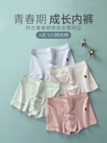 Underpants Mens teens Hair Nursery School Boy Flat Corner Pants Summer Slim-Breathable High Bounce Cotton Crotch Four-corner Pants