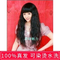 True hair set wig female tacos Qi bangs long curly hair real hair silk whole wig headgear