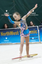 Zhuobao design custom pattern gymnastics clothing rhythmic gymnastics competitive clothing children adult women skirt A19