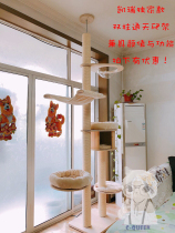 Spot CQueen Carrie 2501 Upgrade Luxury Solid Cat crawling sword and Man - Pillar Twin Column Climbing Puppet