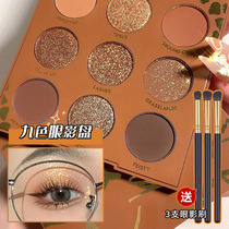 Eyeshadow plate niche brand Super Fire ins cheap students lasting Earth Color Matte Pearlescent powder eye shadow