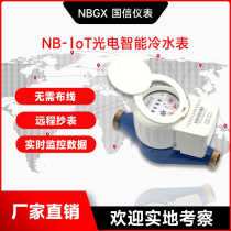 Optoelectronics Direct Remote Meter Reading NB-IoT Read Intelligent Water Meter GPRS Wireless 4G Far Pass LORA Internet Of Things Water Meter