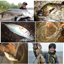 New Japanese duel high strength road sub-stream pe line Armored F pro smooth horse mouth trout