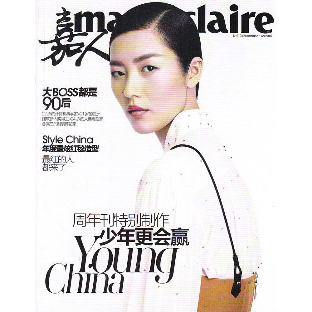 嘉人杂志便携本2015年12月 刘雯 挺住意味着一切 含副刊