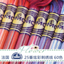 French DMC Rainbow Line colorful thread gradual embroidery three-dimensional embroidery gradient embroidery thread