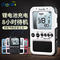 Little Angel Electronic Metronome Piano Guitar Kite Rack Drum Universal Ratings Special Rechargeable Rhythmic Devices