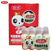 Ying You lactic acid bacteria soft pacifier 200ml * 16 bottles gift box childrens growth milk drink bottle