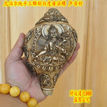 Fa snail Nepal hand-carved white mother natural right-handed white conch long 18cm sound good