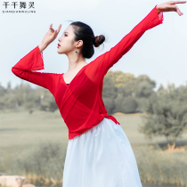 Classical dance screen female tops adult practice kung fu shade modern ballet costume sound charm costume dance costume