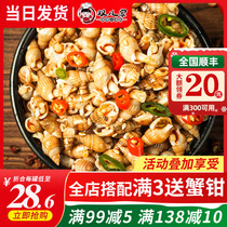 Qingdao sea screw double family pickled sea melon seeds Sea screw fresh spicy small seafood canned ready-to-eat seafood