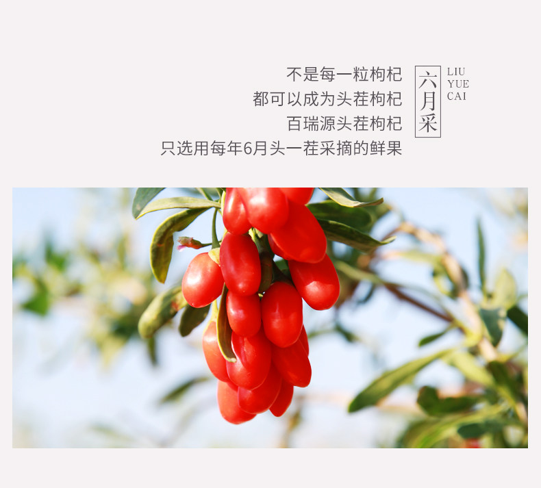 百瑞源宁夏枸杞子正宗头茬枸杞特级免洗小包