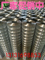Promotional color steel greenhouse glass wool Steel structure special welded wire mesh Steel wire mesh Galvanized mesh for insulation cotton
