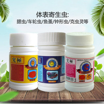 Animal head hole parasite Big white sheet standing scale Arowana stingray Goldfish Koi fish Ornamental fish Water purifier Water environment