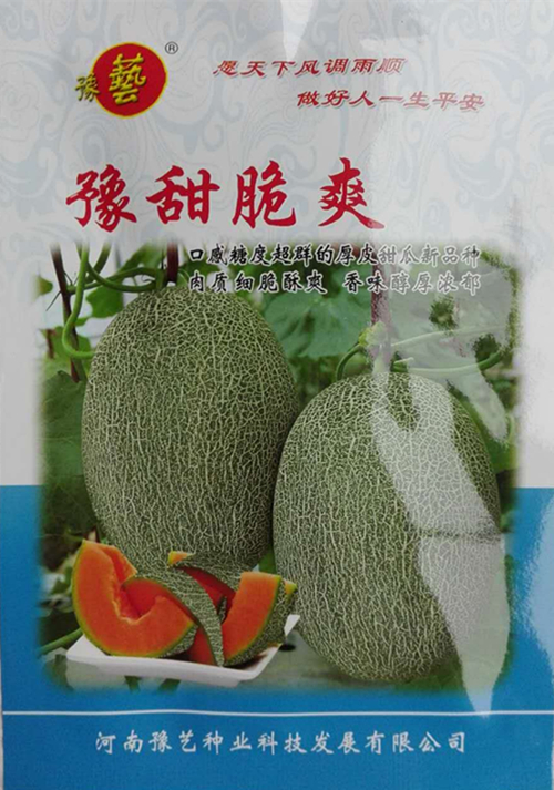 豫艺种业甜瓜种子豫甜脆爽西州蜜25类型网纹哈密瓜红肉厚皮