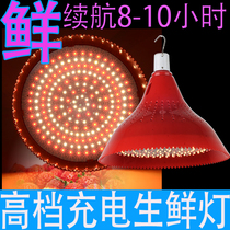 Rechargeable LED fruit light Fresh light Night market stall special cooked food light Market emergency power outage pork light