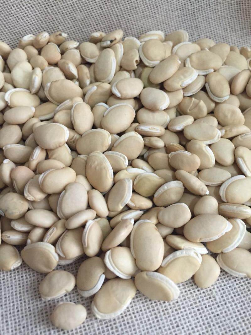 宣羊村 东北特产白扁豆400克 药扁豆五谷杂粮煮粥 豆浆原料