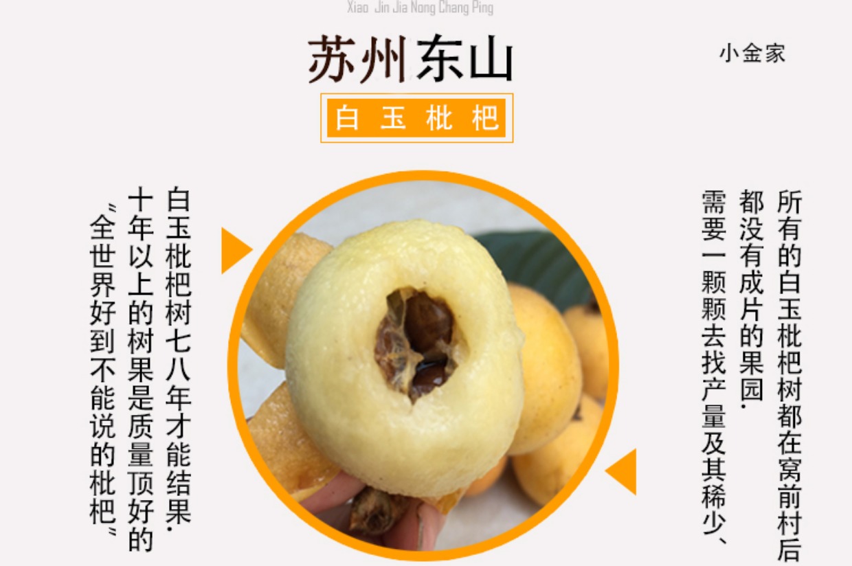 卖完苏州东山槎湾白玉枇杷冠玉琵琶农家直销新鲜水果5斤礼盒装