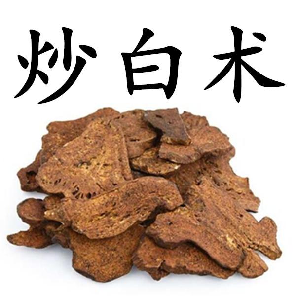 中药白术的功效与作用_白术中药功效与作用_中药炒白术功效与作用