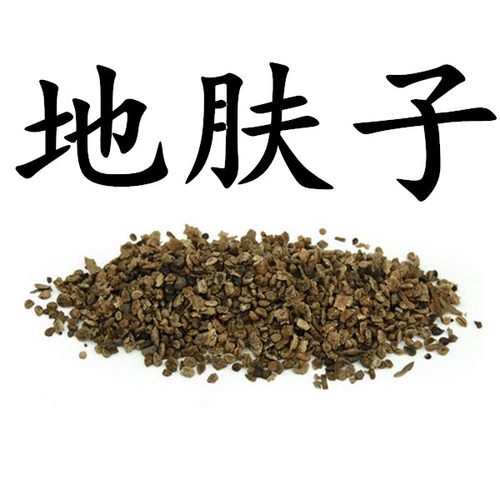 推荐500g地肤子粉野生地葵千头地肤子