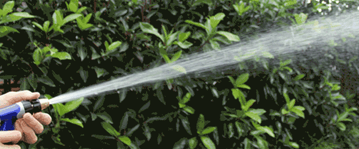 四季软管/蛇皮管/塑料水管/软牛筋/浇花管/冬季防冻(规格齐全)