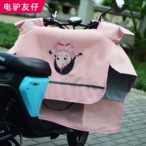 Electric Car Wind Shield Calf battery Motorcycle Summer sunscreen Teenage Girl Cute Wind Shield by Spring and Autumn Burn